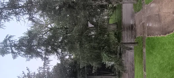 Mild Skies and Evening Sprinkles: A Damp Valentine’s Day for Louisville