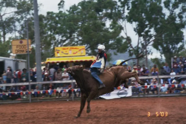 Rodeos, Bullseyes, and Irish Eyes: Your Friday the 13th Morning Briefing