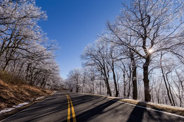 Rising From the Frost: Your Louisville Morning Briefing for January 30