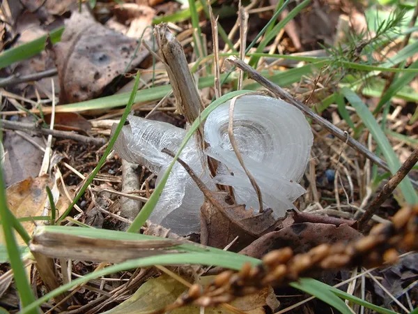 Frosty Morning and Brisk Breezes: Louisville Braces for a Chilly Mid-Week Shift