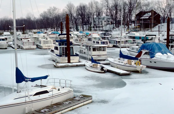 Crisp Sunshine and Arctic Air: A Bitterly Cold Start to the Week in Louisville