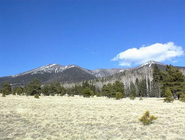 A Dramatic Shift: Mild Temps and Late Showers Follow Tuesday’s Snowfall