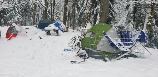 Unhoused Louisville man’s death during extreme cold draws attention to shelter limits and winter response gaps