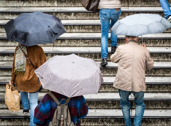 Grab the Umbrella: Steady Showers and Mild Temperatures Expected for Sunday in Louisville
